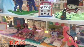 掘金鄉野新藍海 三大農村創業項目，玩具技術開發與銷售引領風潮